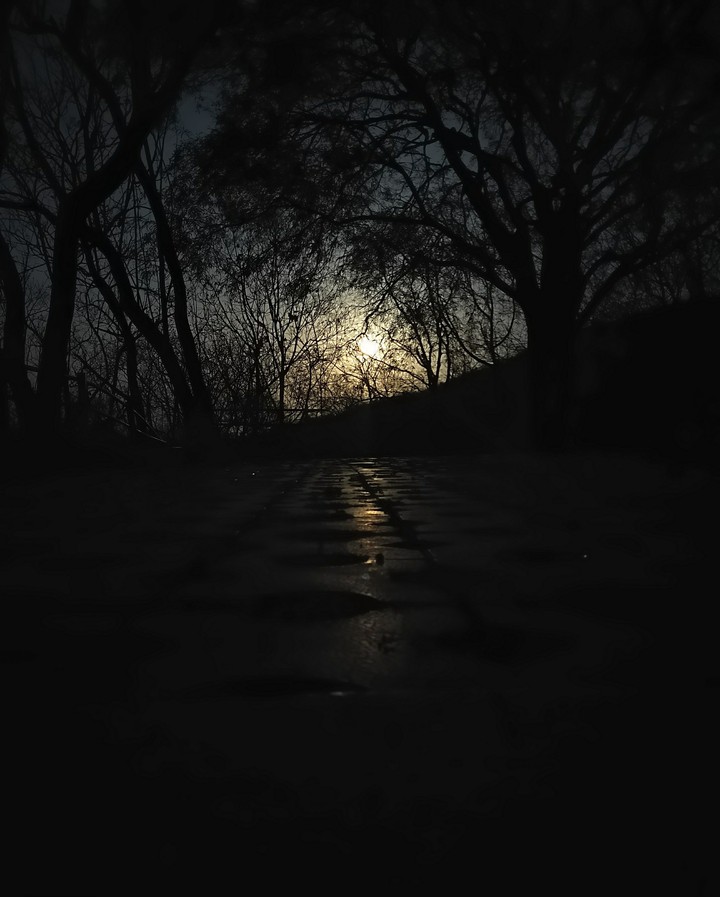 Moonlight heals it all*