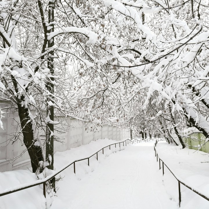 snow