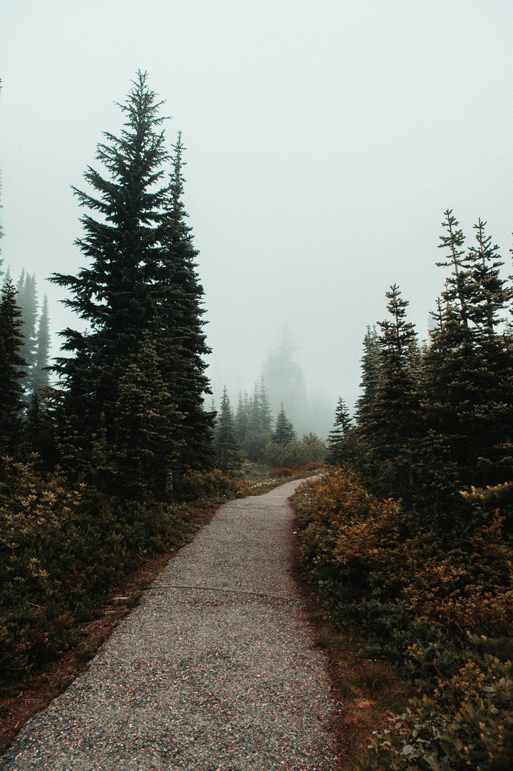 SN