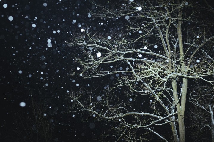 Snowy Night