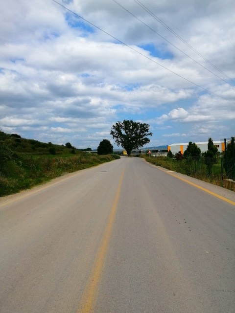 Yol