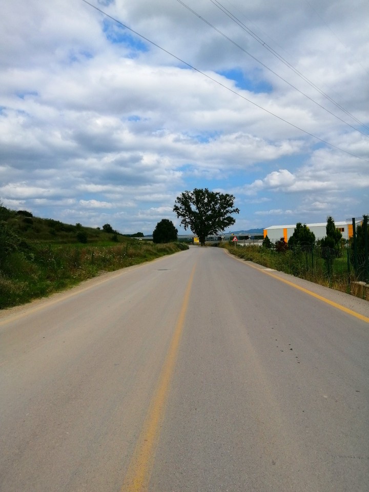 Yol