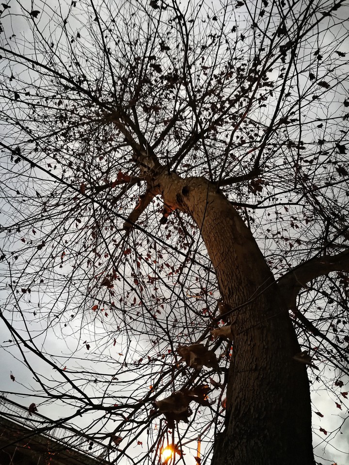 Gifts of nature