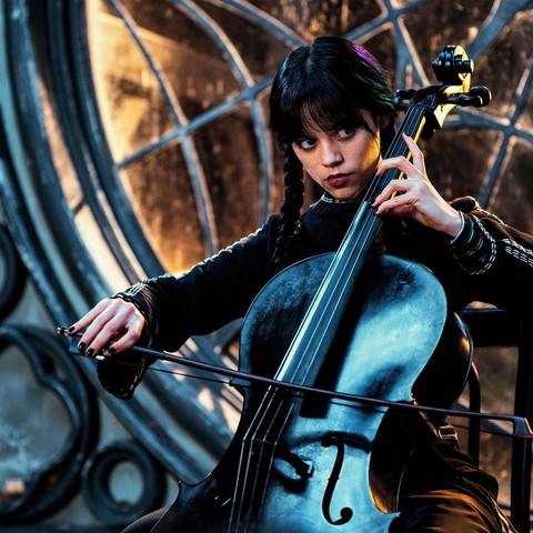 musician, violone वॉलपेपर