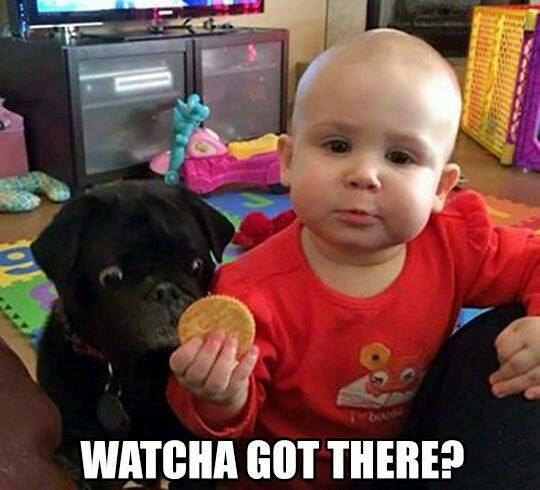ooo cookie