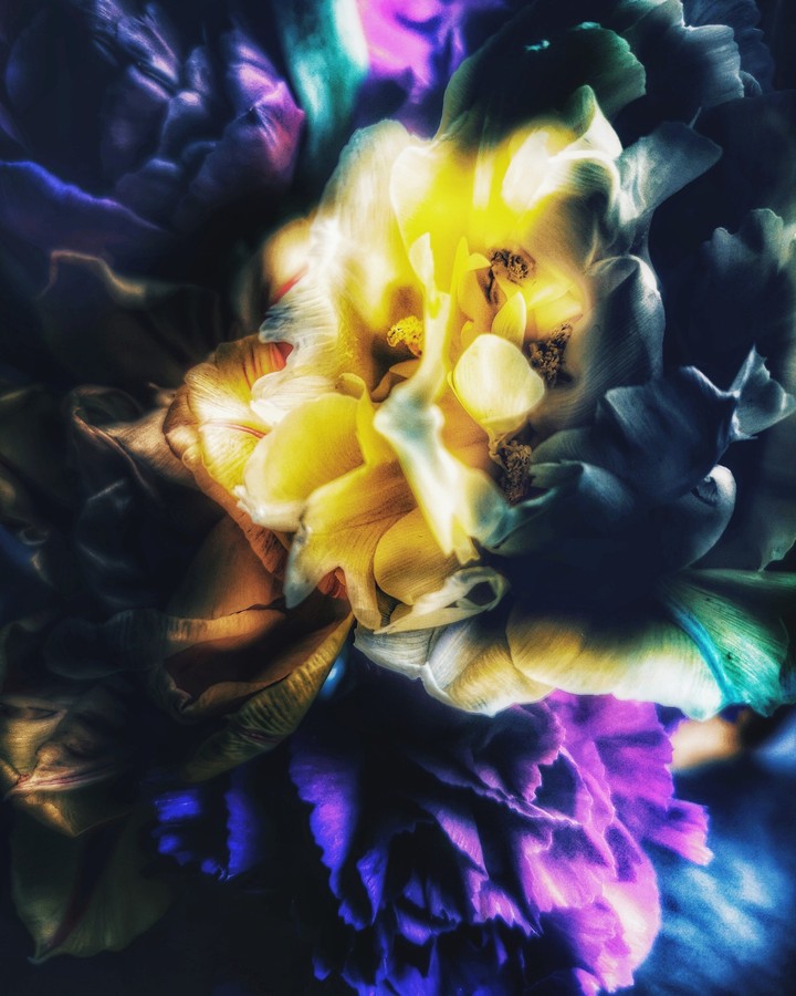 magic flower