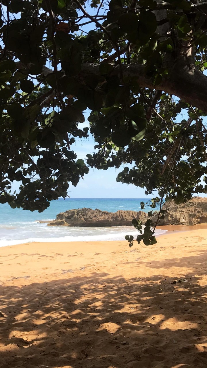 beach