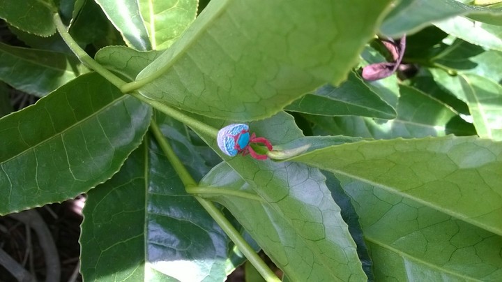 Bug!