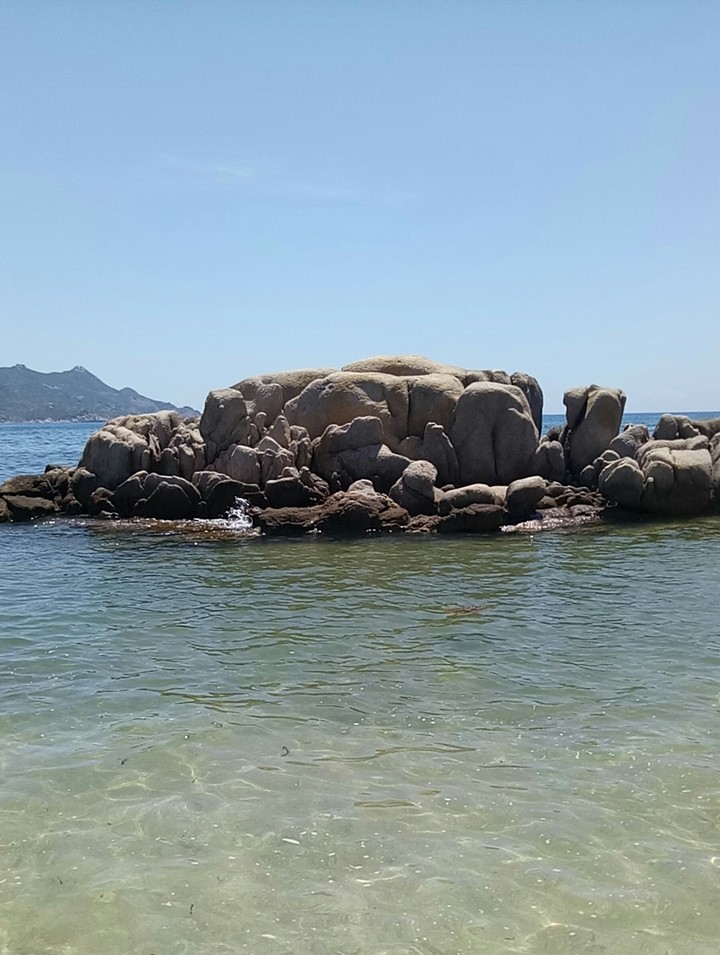 stone turtle.