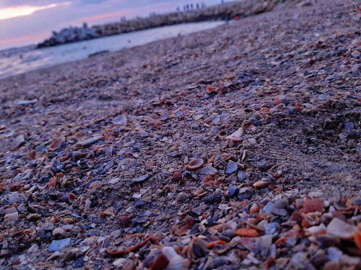 Sea