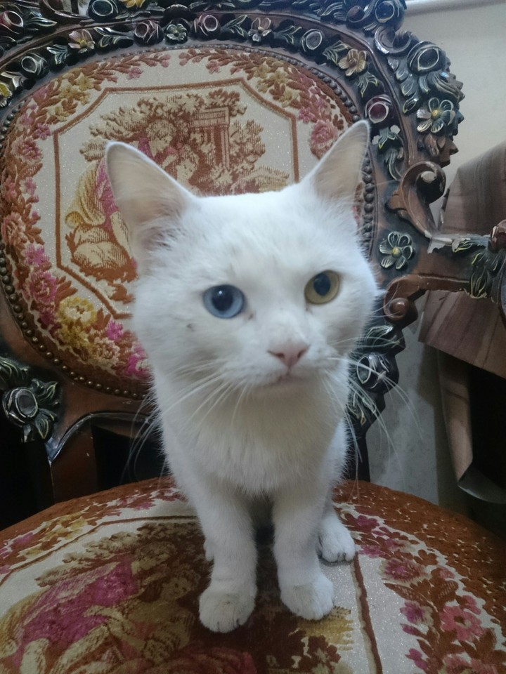good eyes