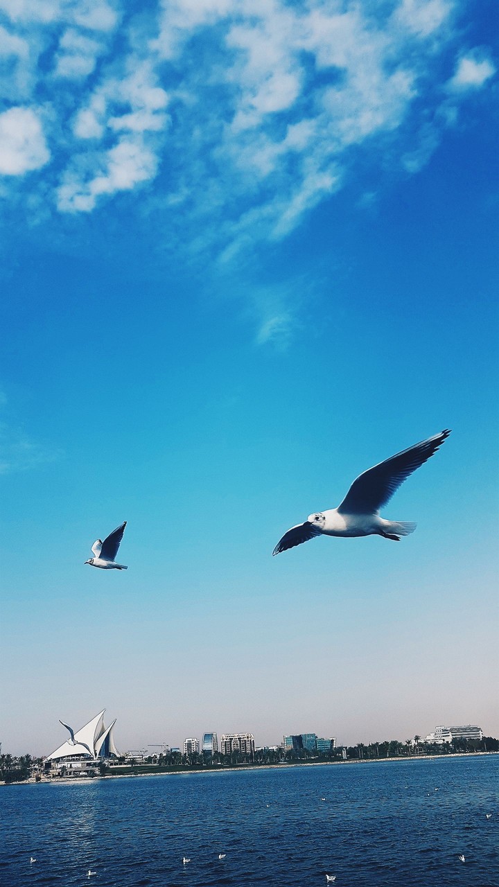 Peaceful day at the bay