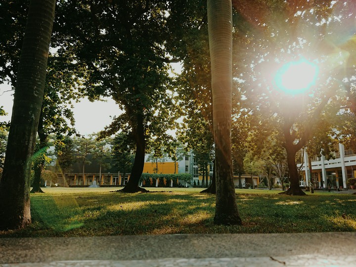 university