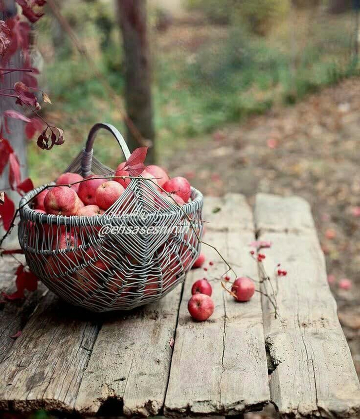 ☺☺☺☺