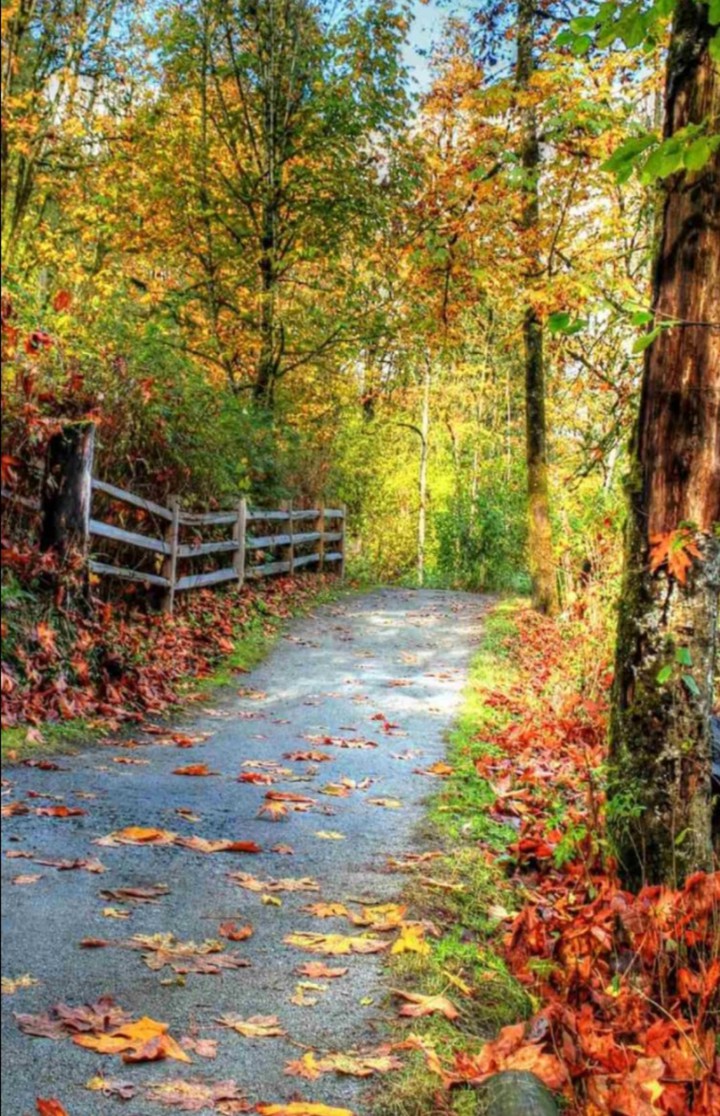 Automne