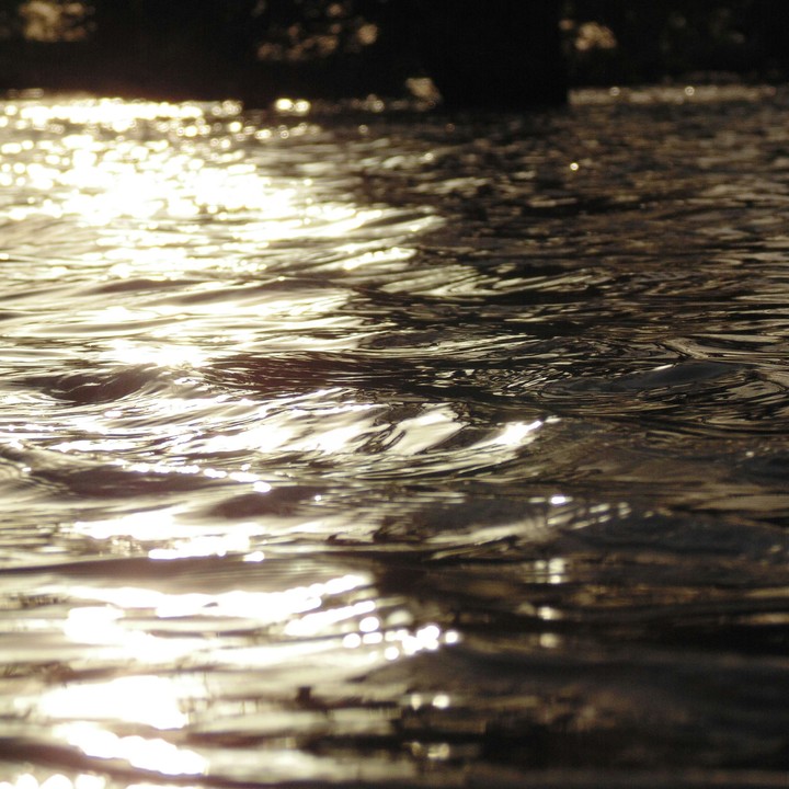The Reflection of life