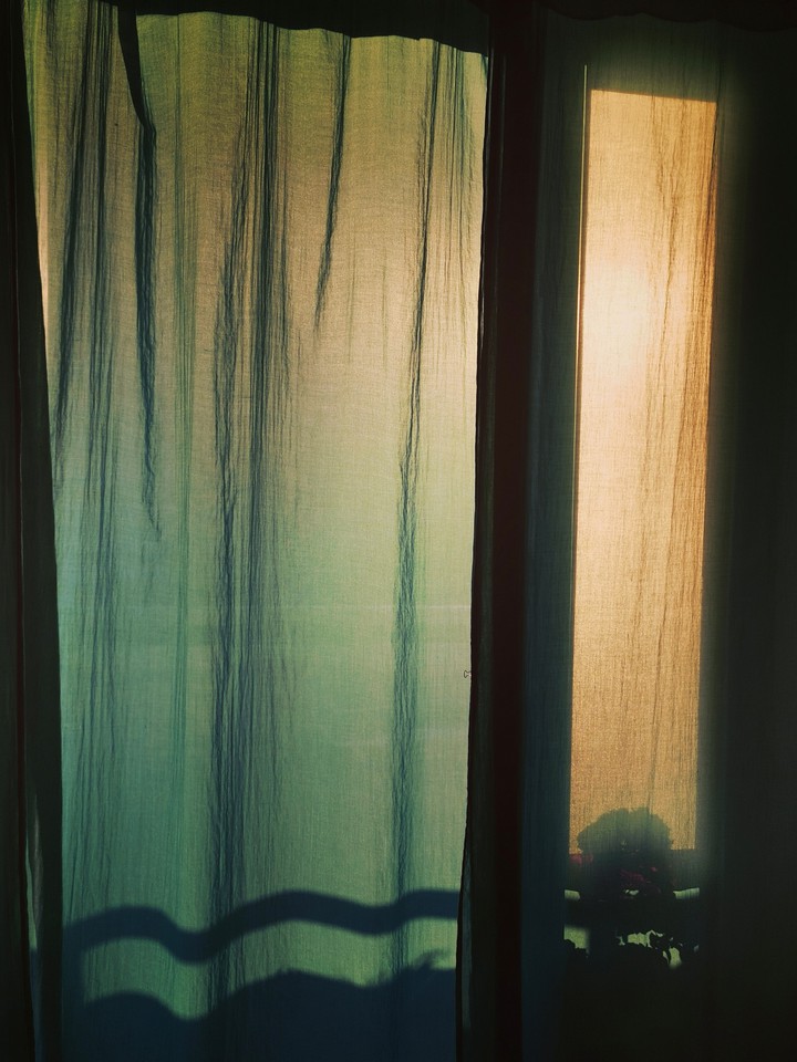 ××× sunny evening ×××