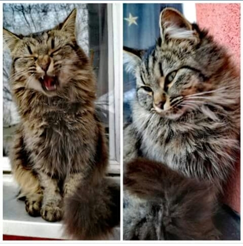 ❤