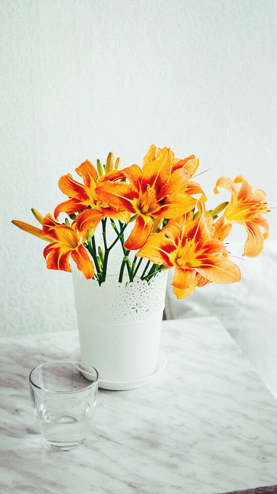 flowers
