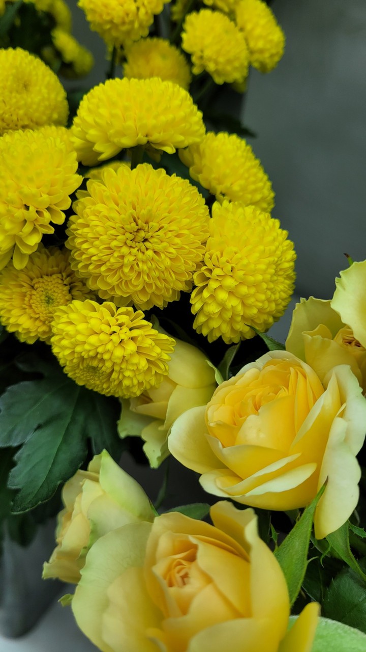 flowers