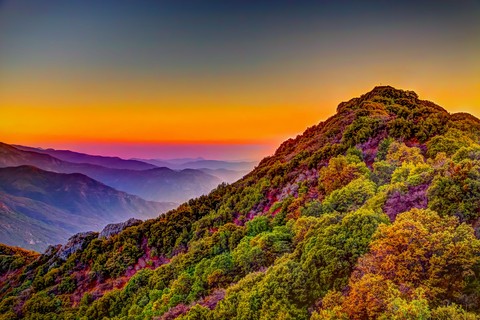 tapety autumn, phenomenon