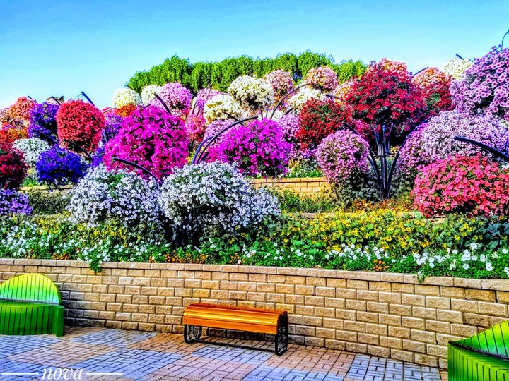 Wonders of Colors