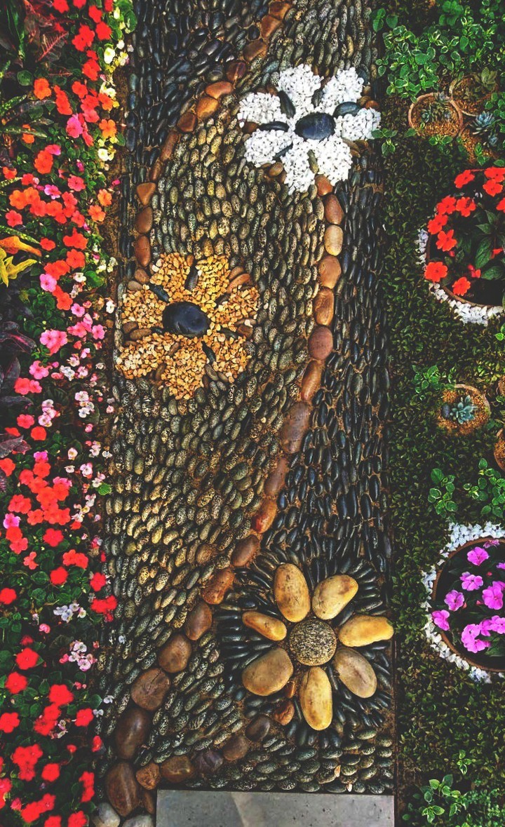 Garden.