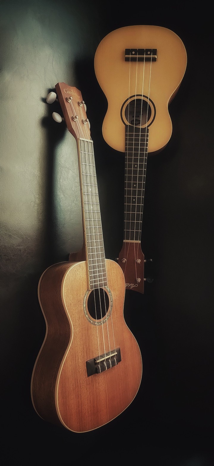 Ukulele