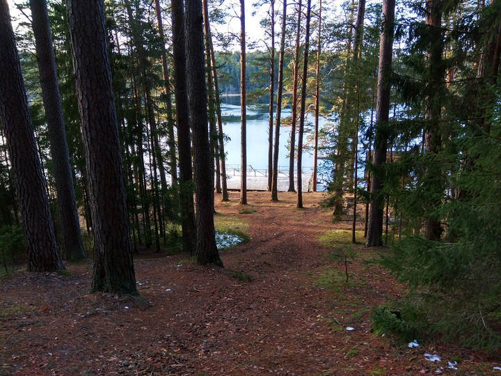 Весна