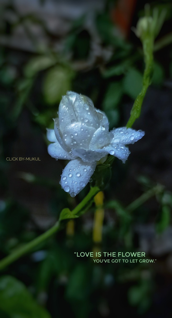 Nature