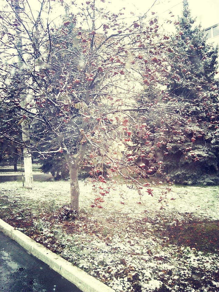 зима близко