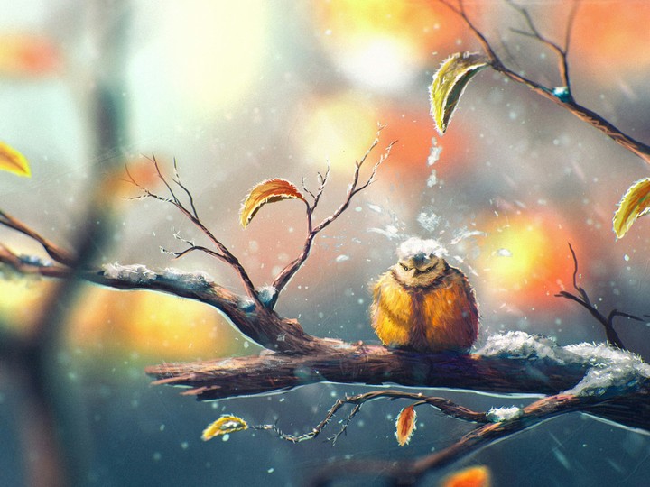 snowy day