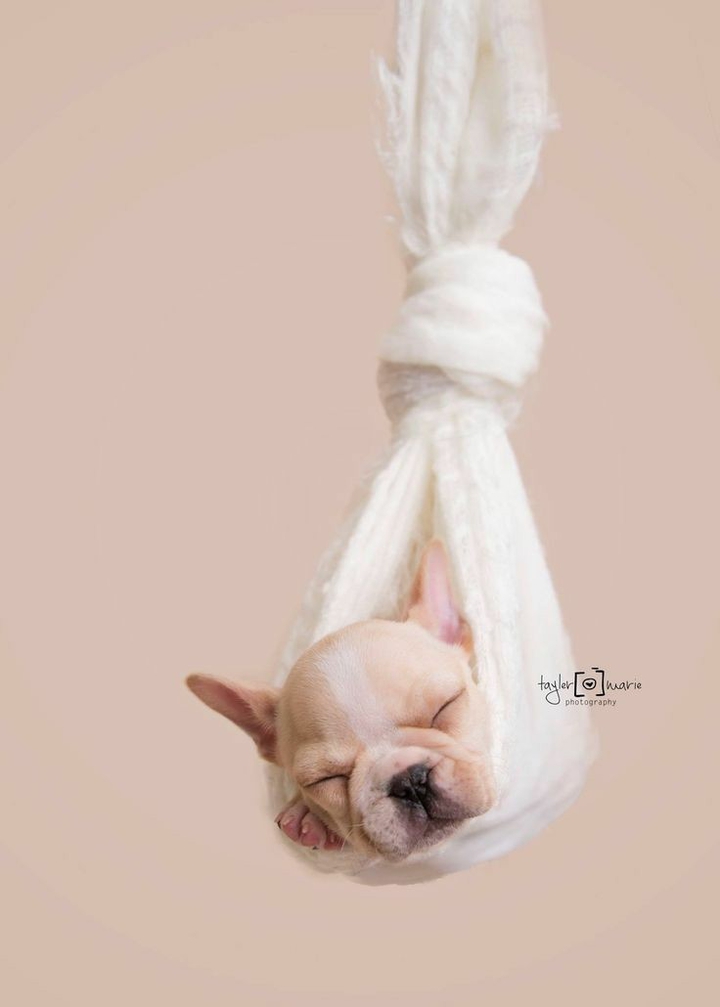 sooooo cute!!!