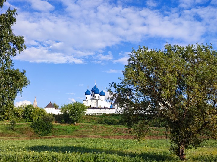 красота