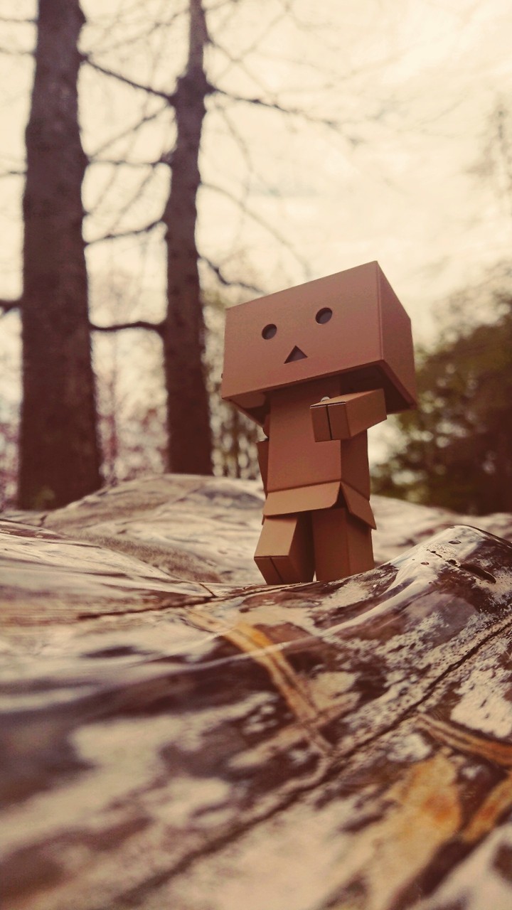 forest walking