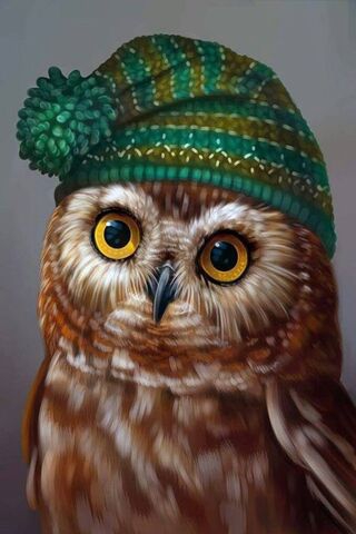 hibou très mignon