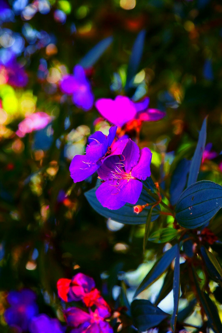 The Scent of Spring