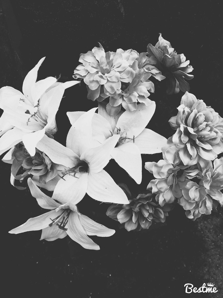 beautiful flowers