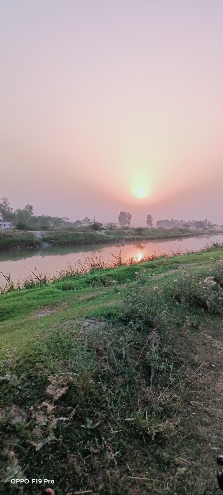 nature
