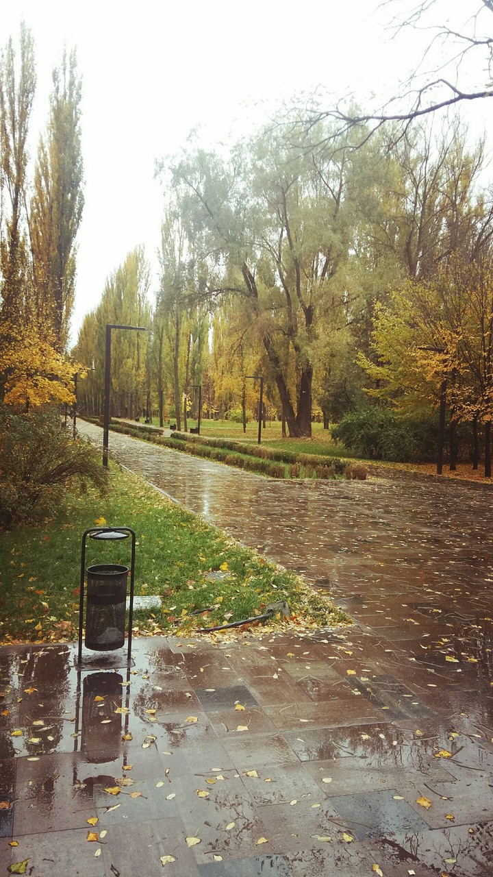 Осенняя красота!