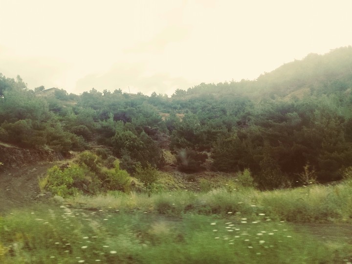 orman