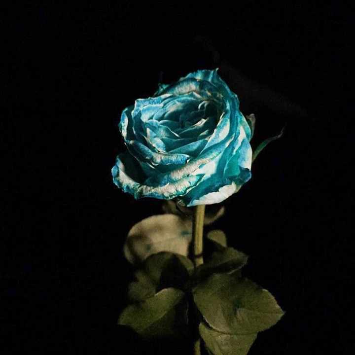 blue