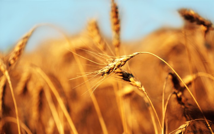 crop.!
