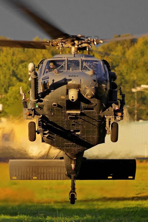 Black Hawk