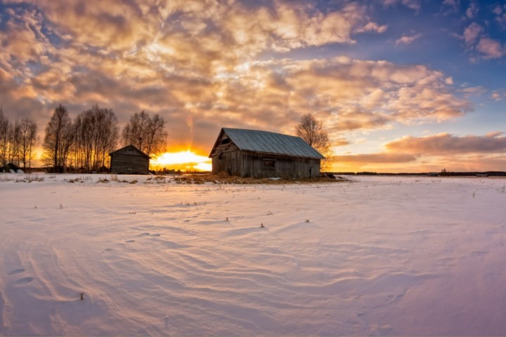 lovely picture....