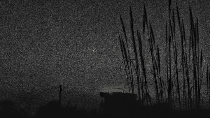 Shades of grey..