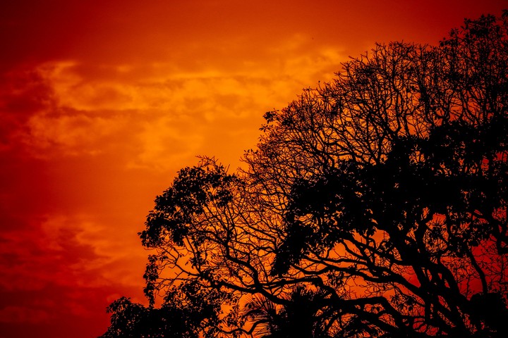 sunset