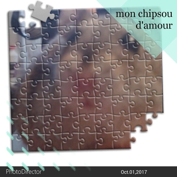fddti