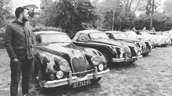 Jaguars