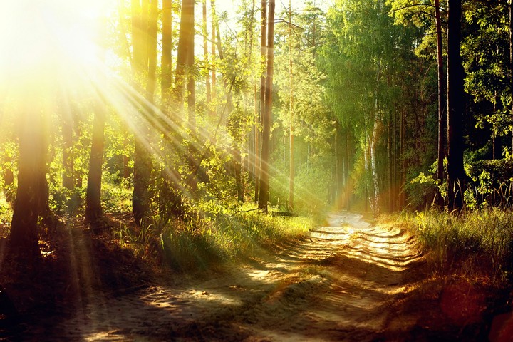 nature